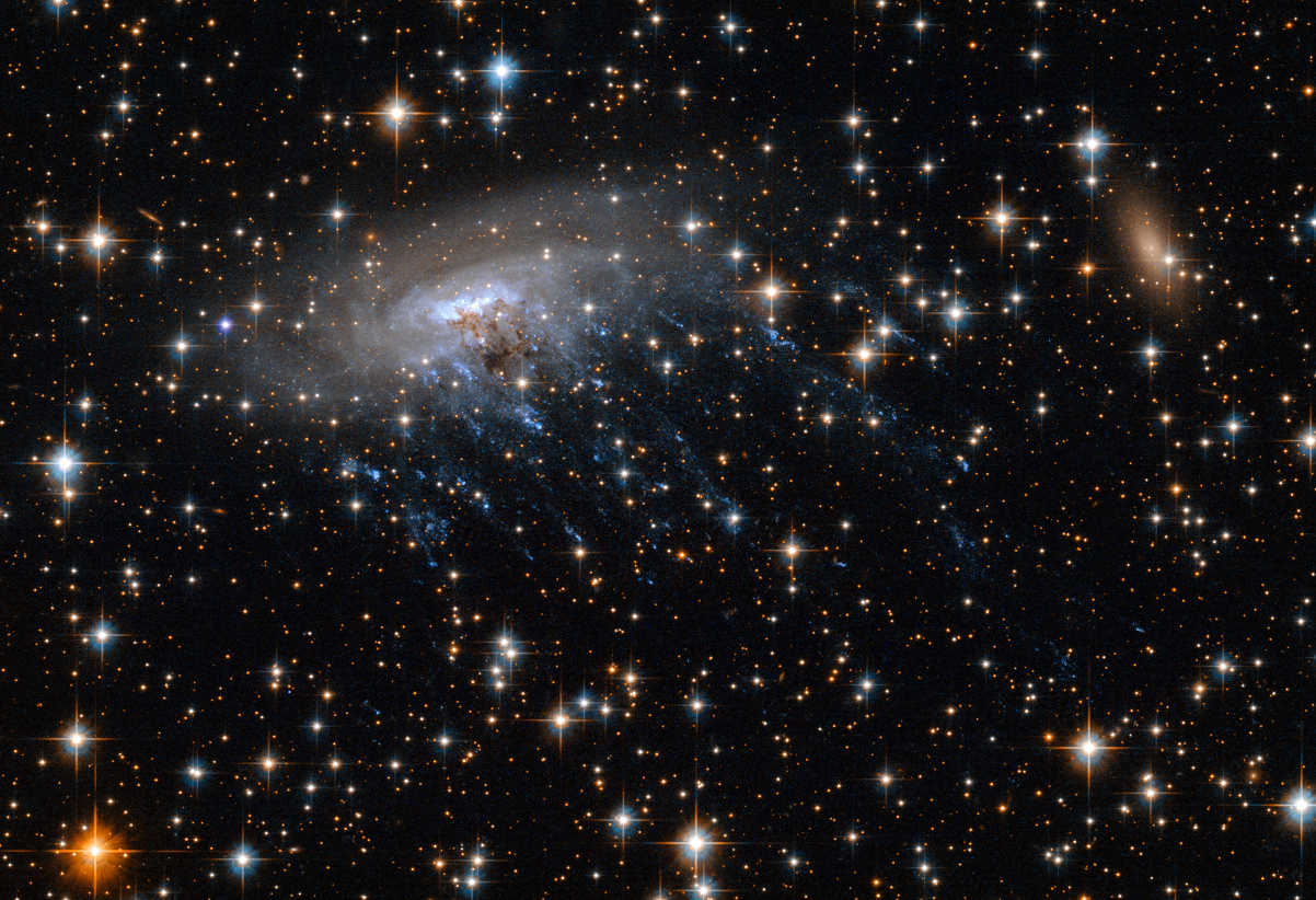 Jellyfish galaxy ESI 137-001